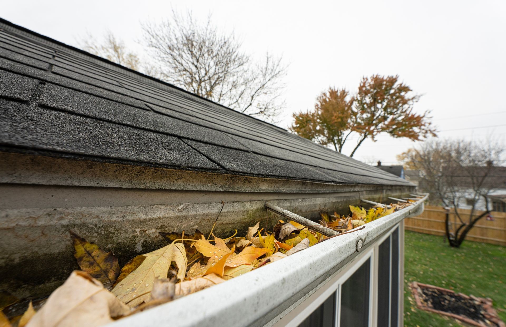 Gutter Cleaning